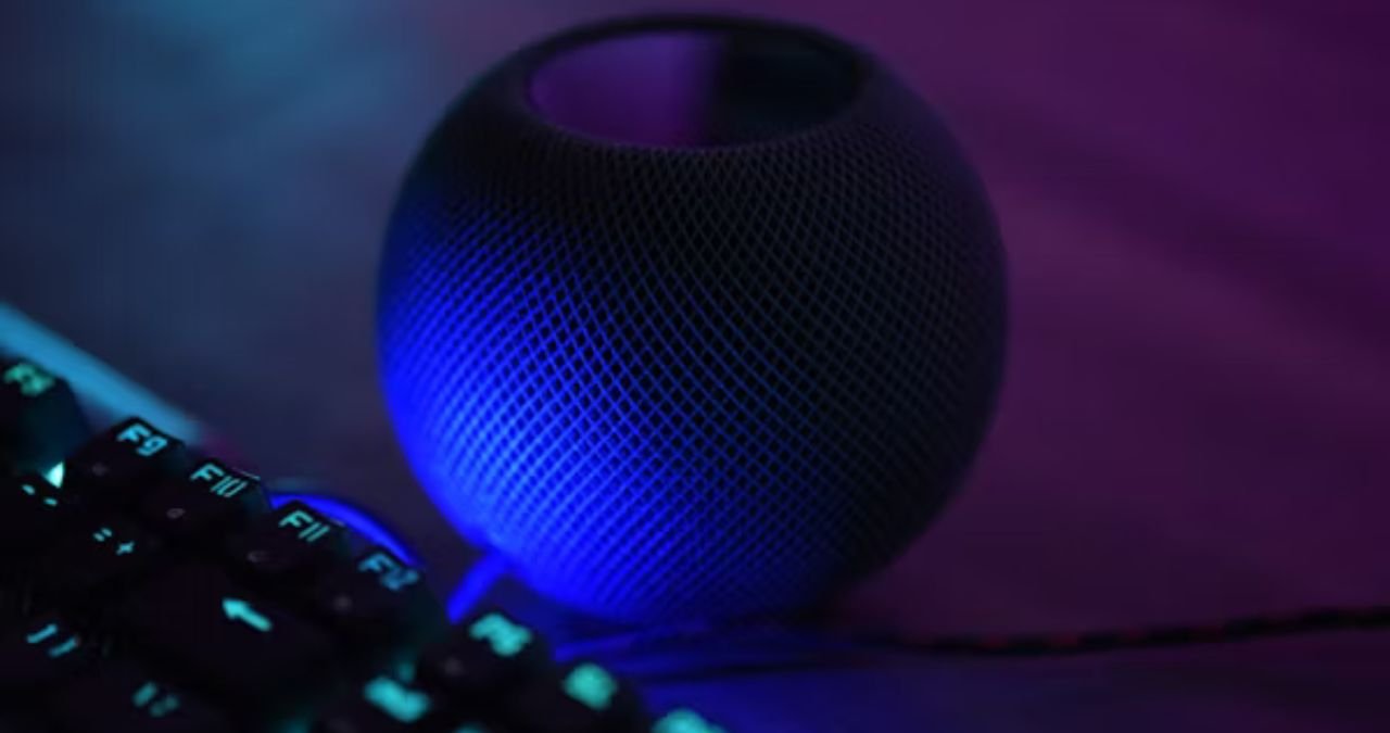 Letflix